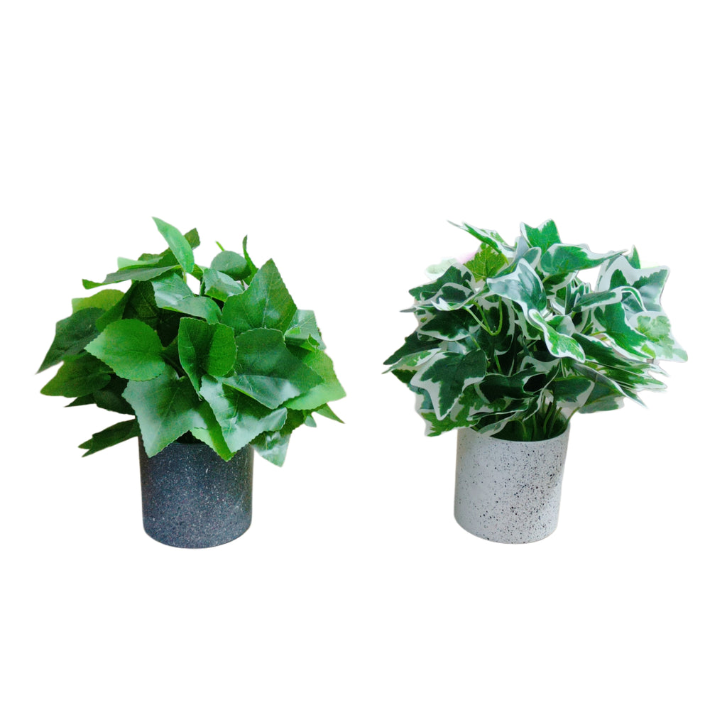 Set of 2: Artificial Hedera & Grape Leaf in Speckled Pots