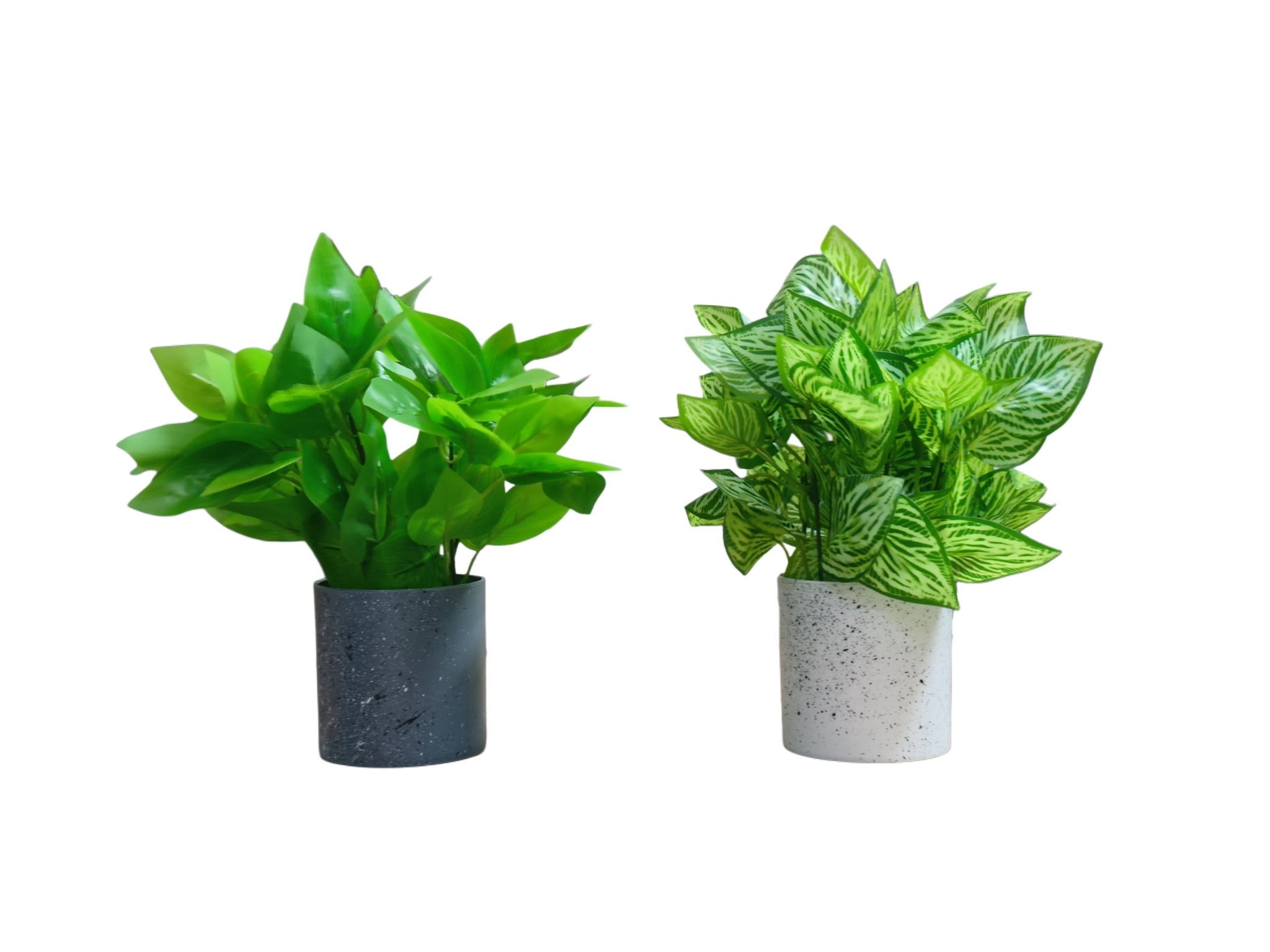 Set of 2: Artificial White & Green Peacock Plants in Speckled Pots