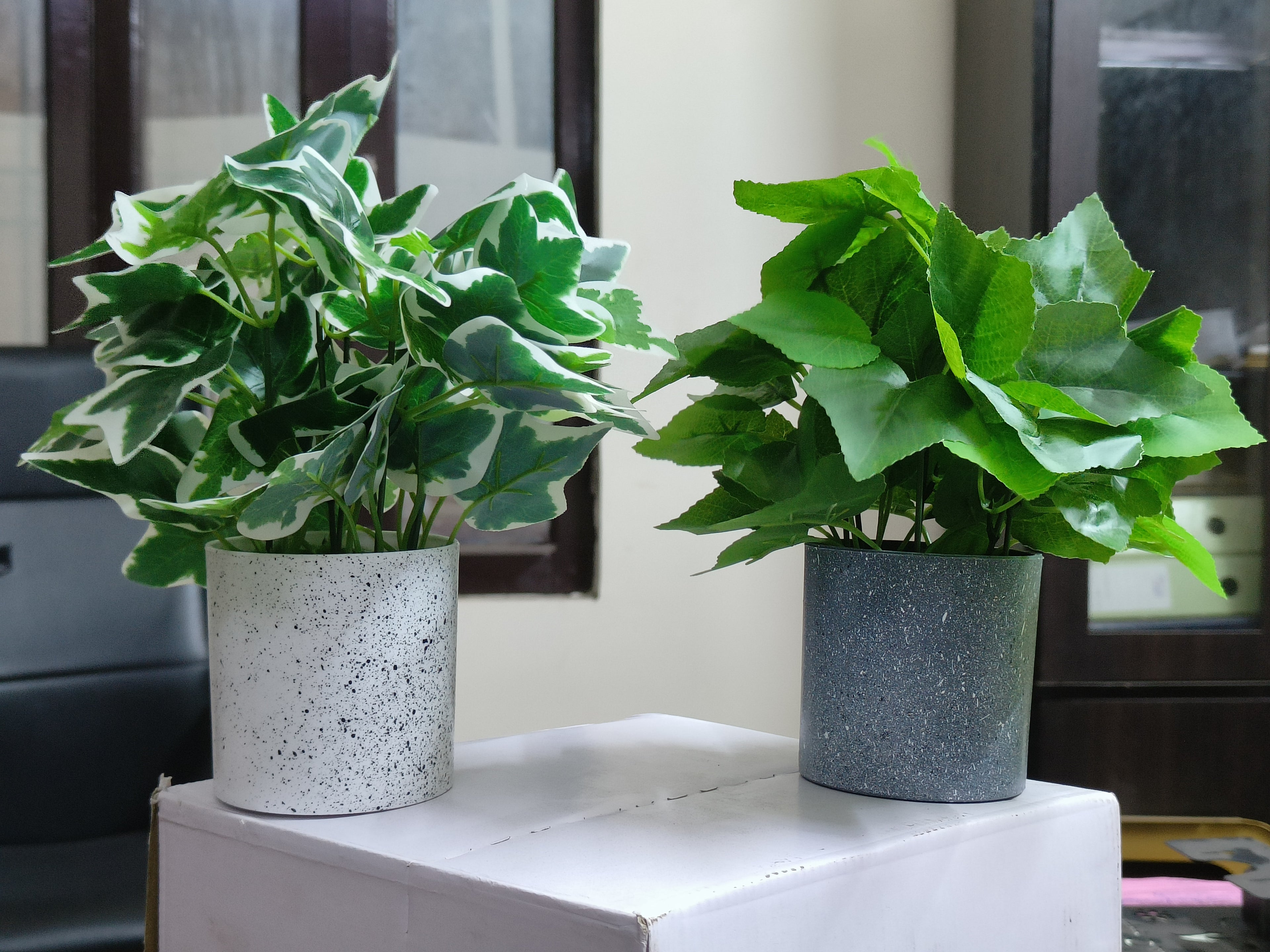 Set of 2: Artificial Hedera & Grape Leaf in Speckled Pots