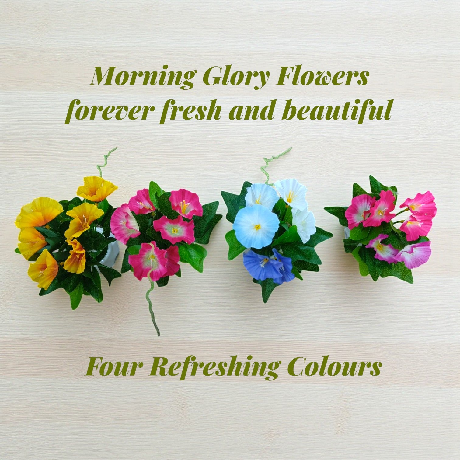 Set of 4 pots Diamond cut design Pots, with morning glory flowers