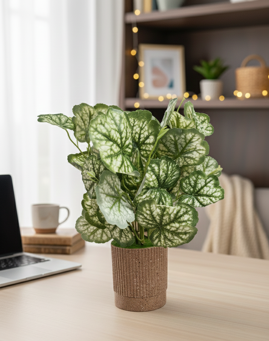 Pumpkin leafy  Plant with Premium Brown pot