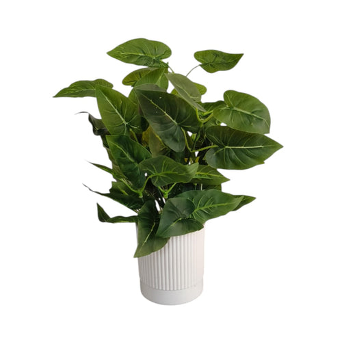 Artificial Elephant Ear Plant