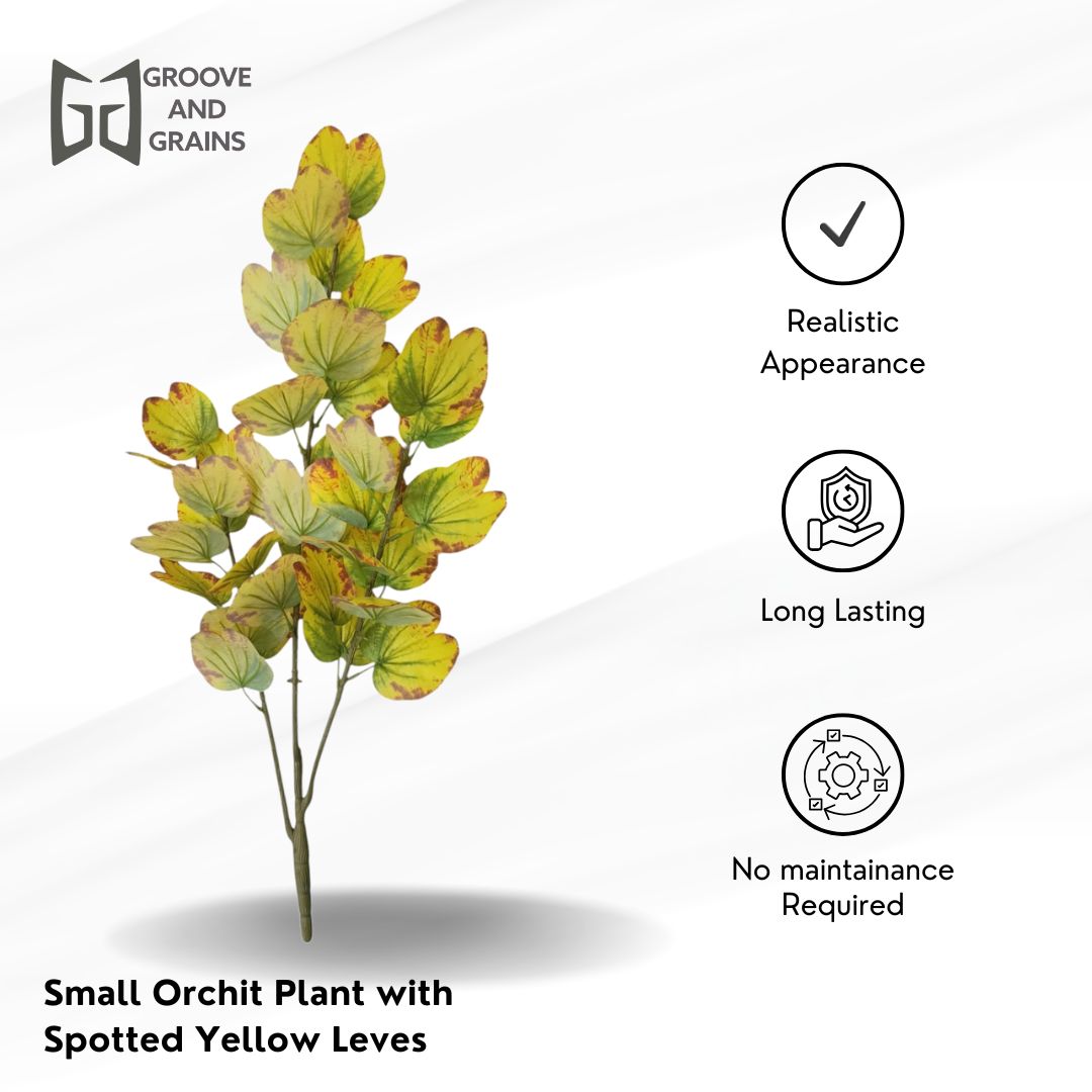 Artificial Orchid Plant with Spotted Yellow Leaves