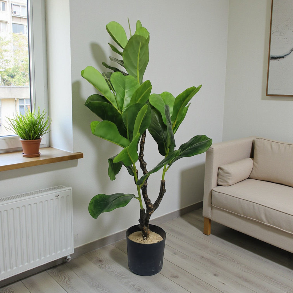 Fiddle Leaf Fig Tree