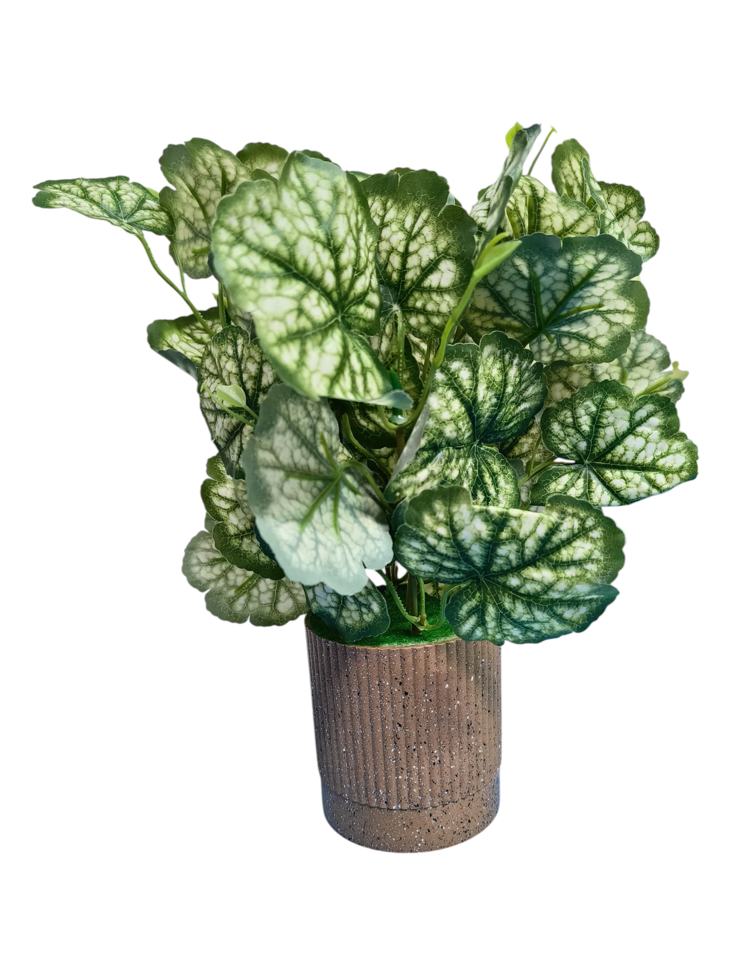 Pumpkin leafy  Plant with Premium Brown pot