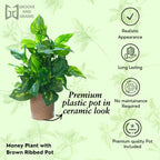 Artificial Money Plant