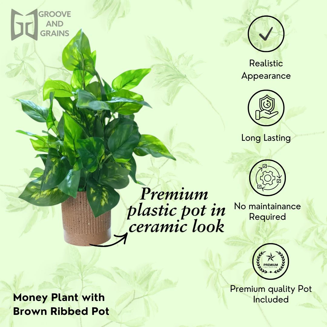 Artificial Money Plant