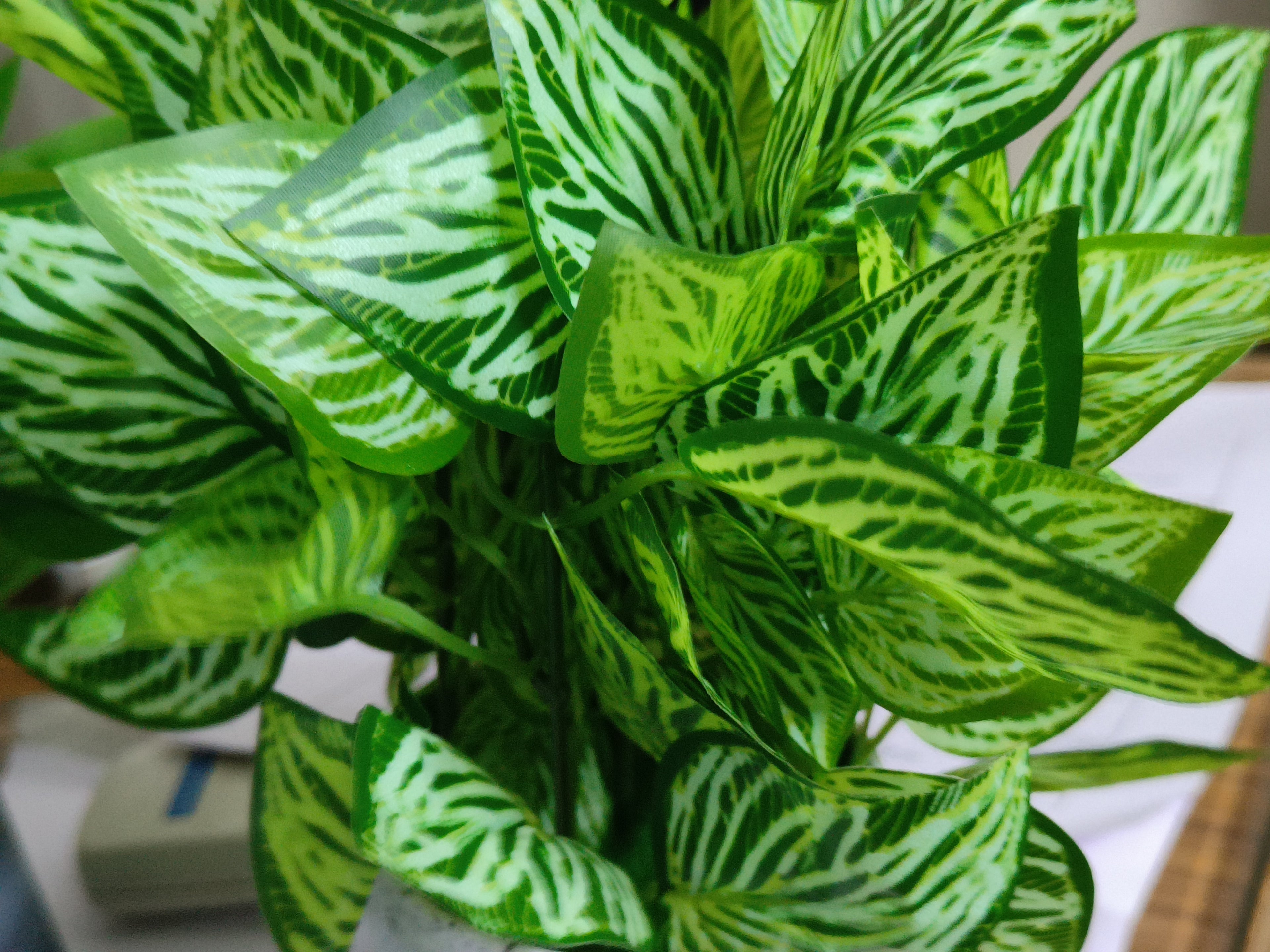 Set of 2: Artificial White & Green Peacock Plants in Speckled Pots