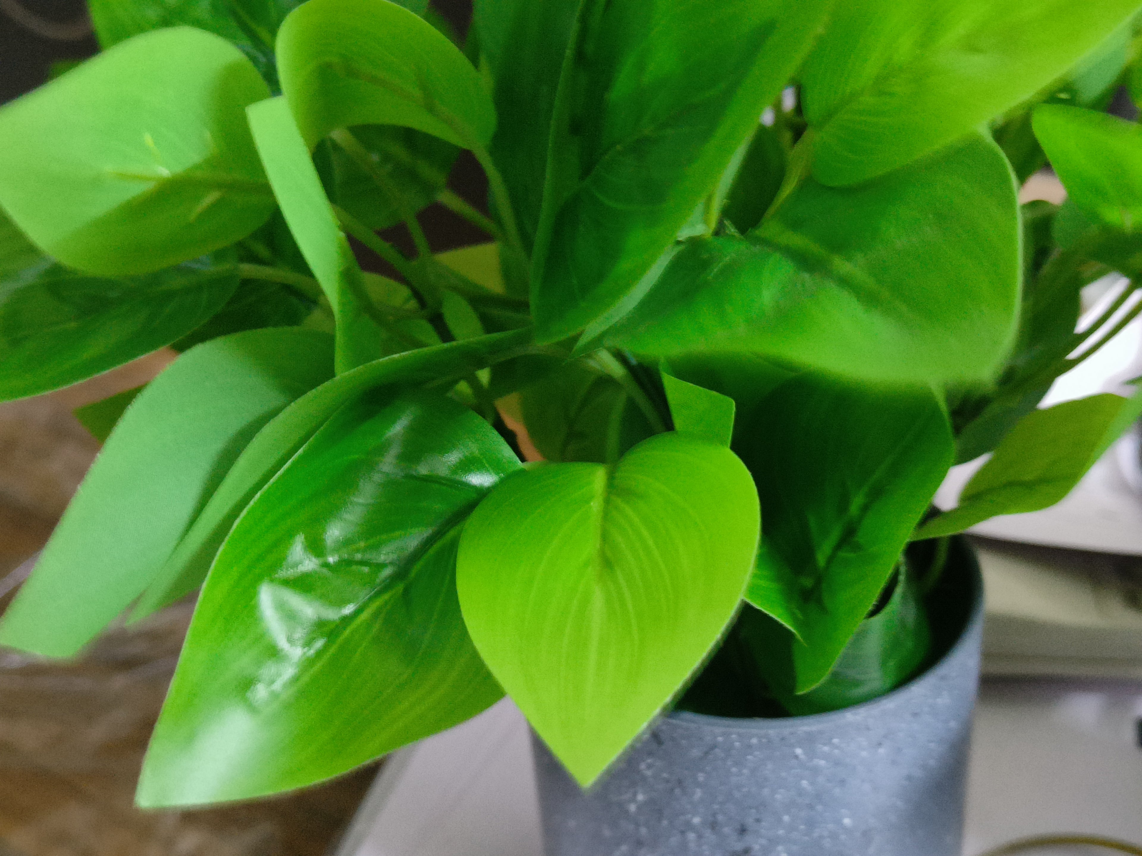 Set of 2: Artificial White & Green Peacock Plants in Speckled Pots