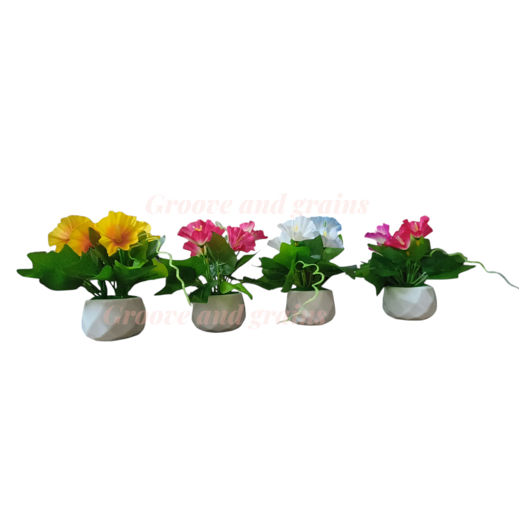 Set of 4 pots Diamond cut design Pots, with morning glory flowers