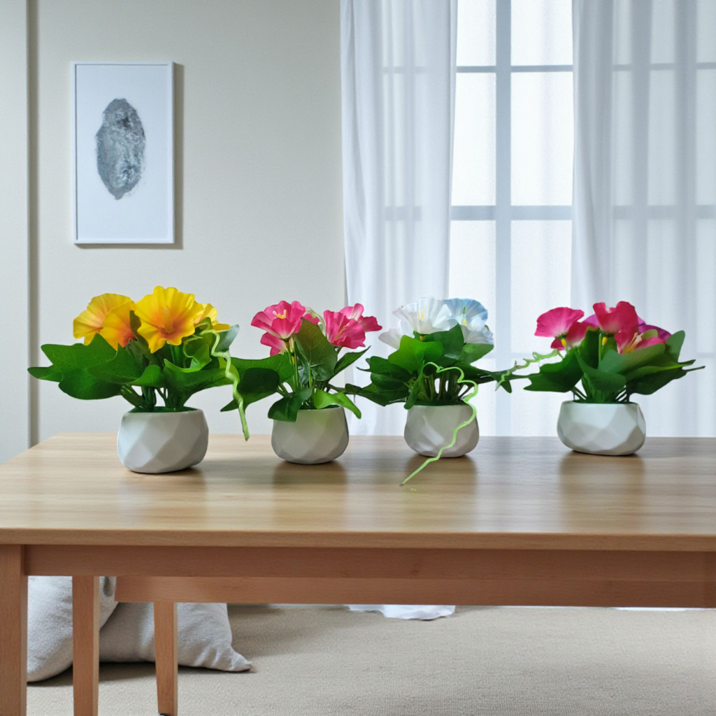 Set of 4 pots Diamond cut design Pots, with morning glory flowers