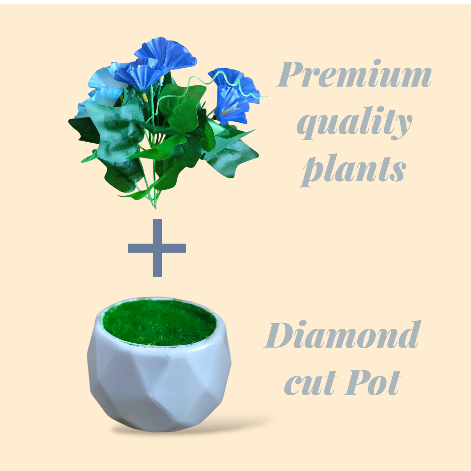 Set of 4 pots Diamond cut design Pots, with morning glory flowers