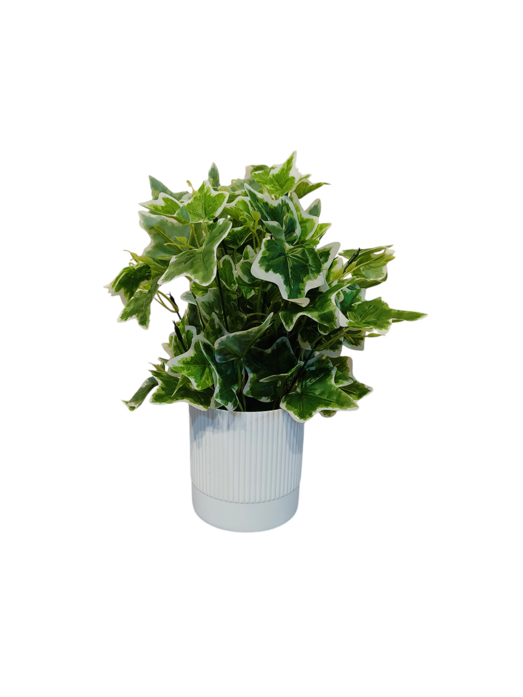 Artificial Hedera Plant