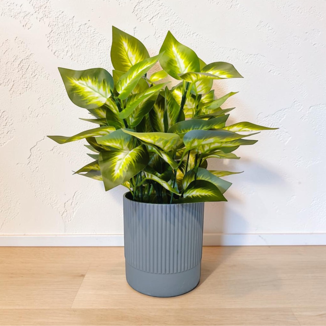 Artificial Dumb Cane Plant
