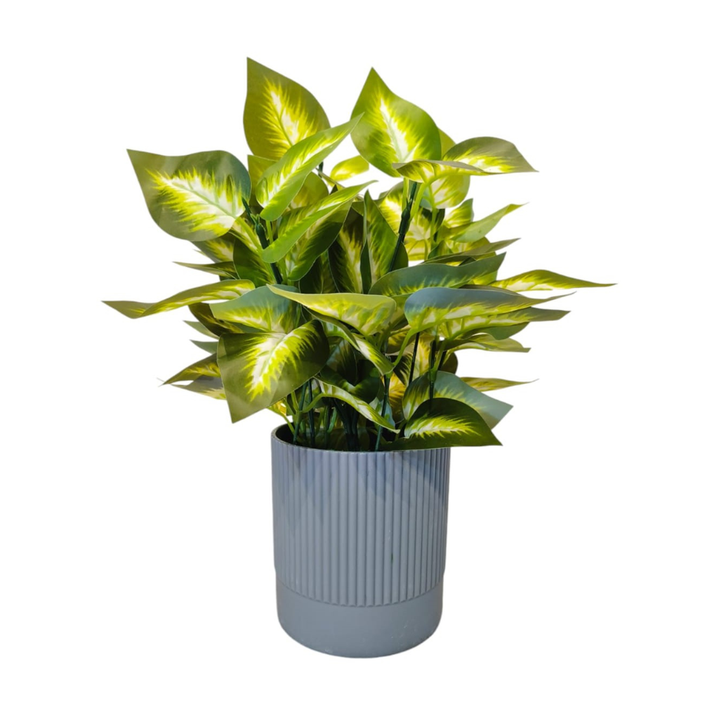 Artificial Dumb Cane Plant