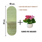Key Hanger & Wall Decor Shelf With Flower Pot