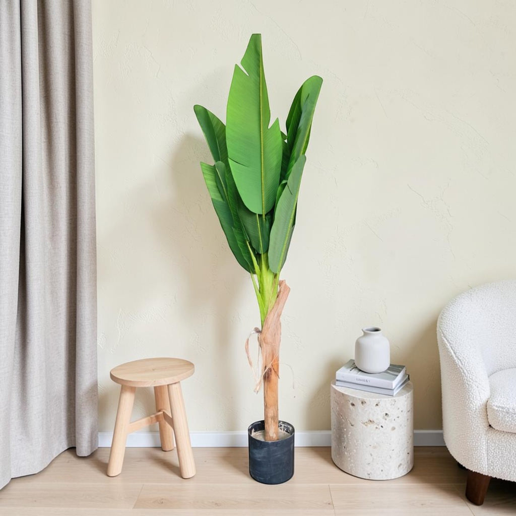 Banana Tree