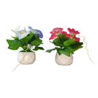 Set of 2: Artificial Pink & Blue Morning Glories in Diamond-Cut Pots