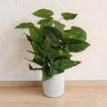 Artificial Elephant Ear Plant