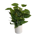 Artificial Elephant Ear Plant