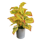 Artificial Golden Pathos Plant
