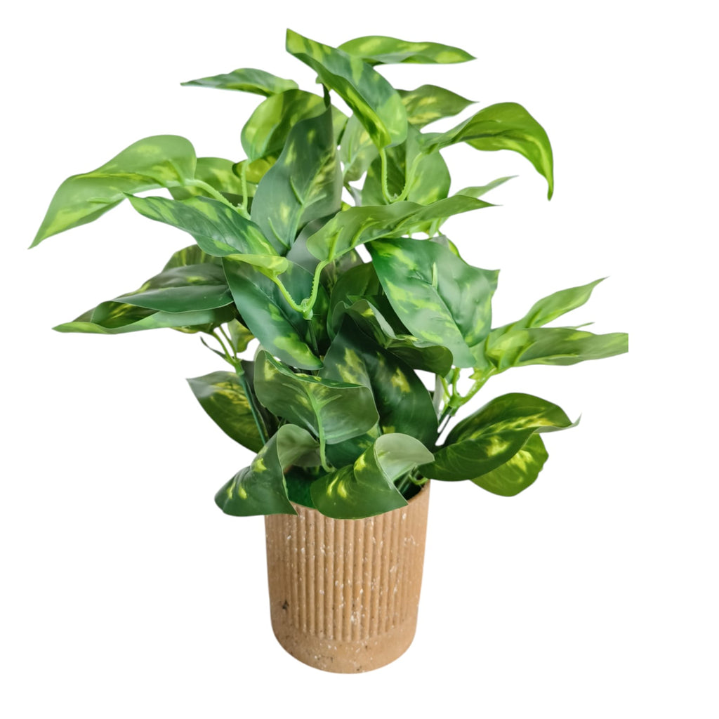 Artificial Money Plant