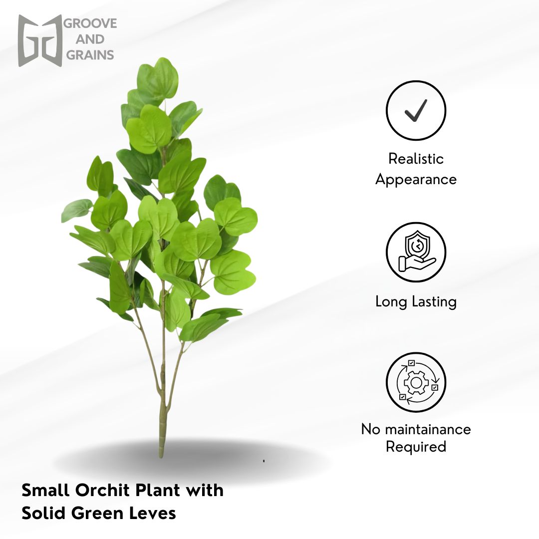 Artificial Orchid Plant with Solid Green Leaves