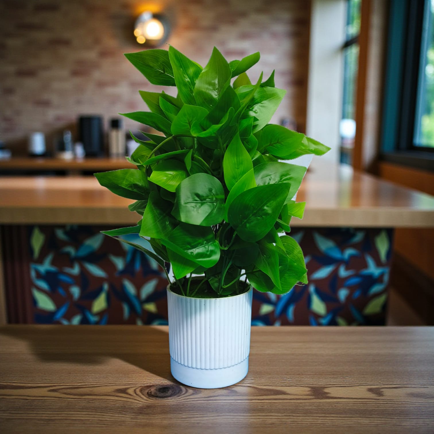 Green Peacock Plant in white Pot.