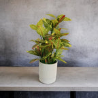 Artificial Croton Plant