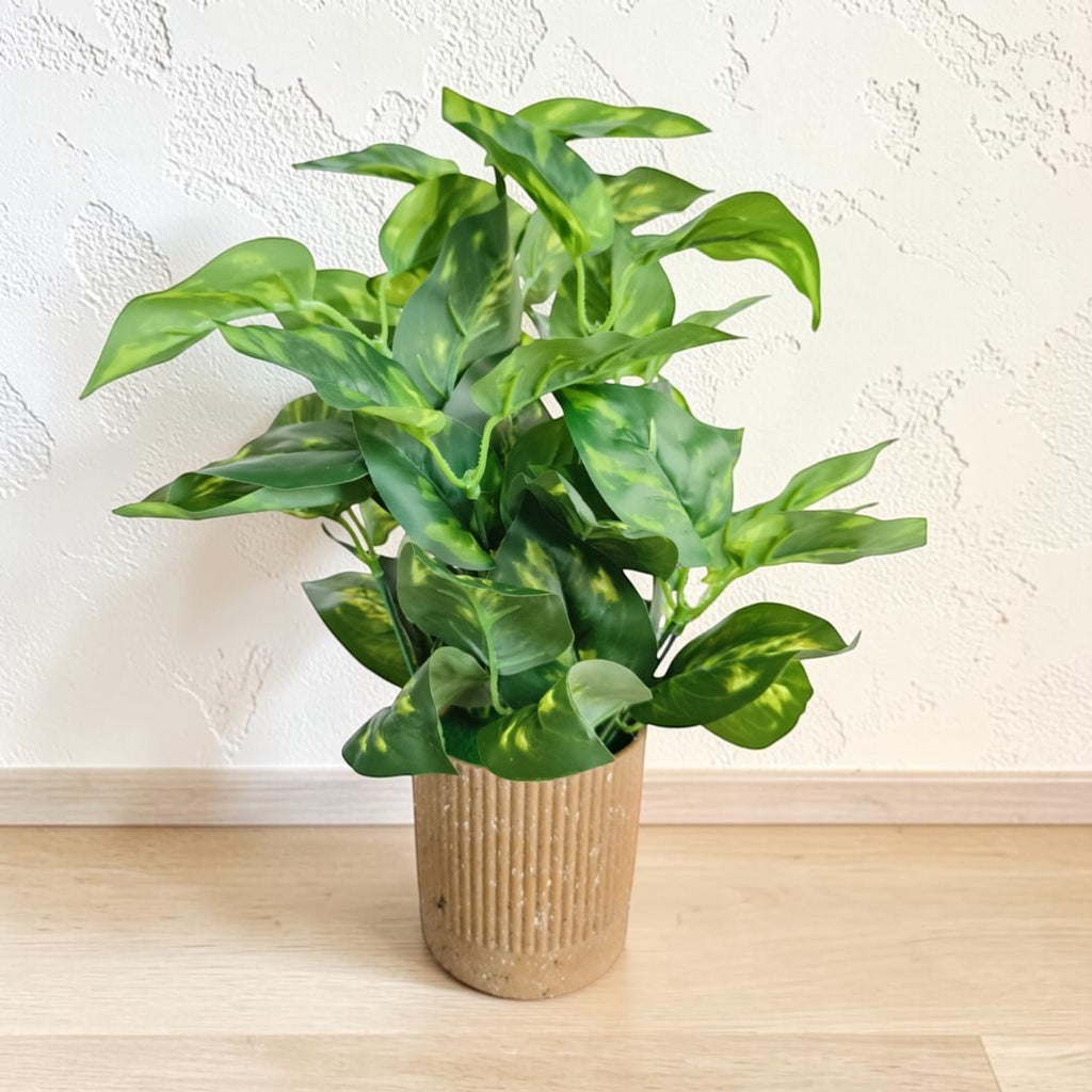 Artificial Money Plant