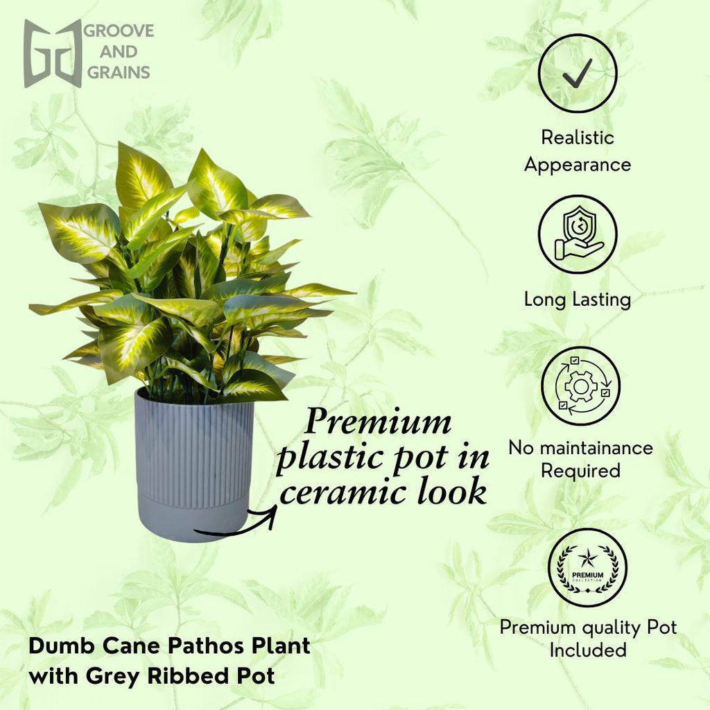 Artificial Dumb Cane Plant in Grey PVC Pot