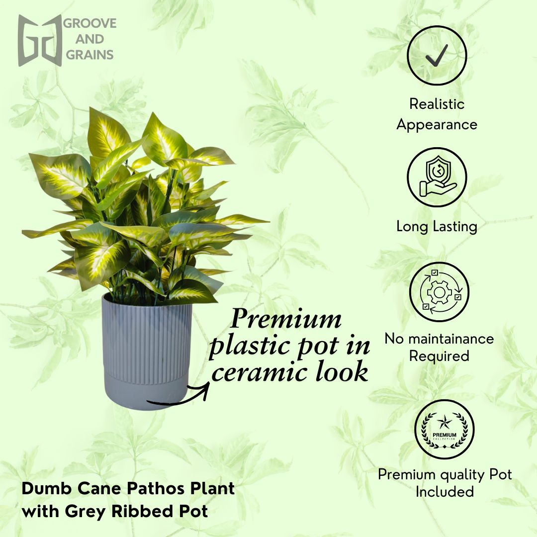 Artificial Dumb Cane Plant