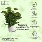 Artificial Elephant Ear Plant in White PVC Pot
