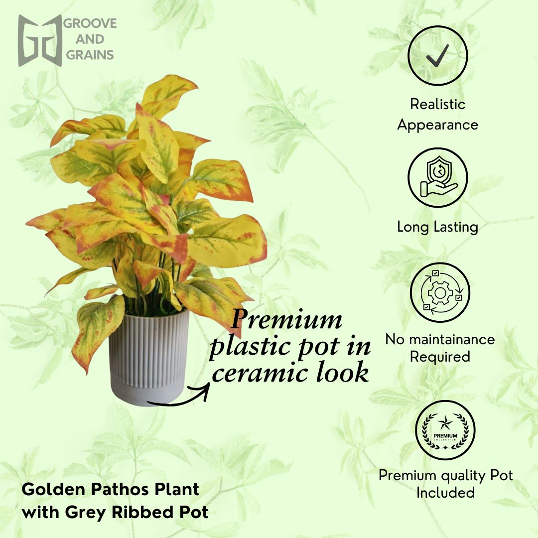 Artificial Golden Pathos Plant