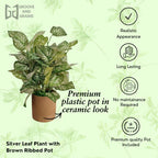 Artificial Silk Leaf Plant