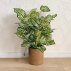 Artificial Silk Leaf Plant