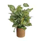 Artificial Silk Leaf Plant
