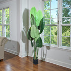 Traveller’s Palm Tree