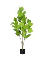 Artificial Orchid Plant with Solid Green Leaves